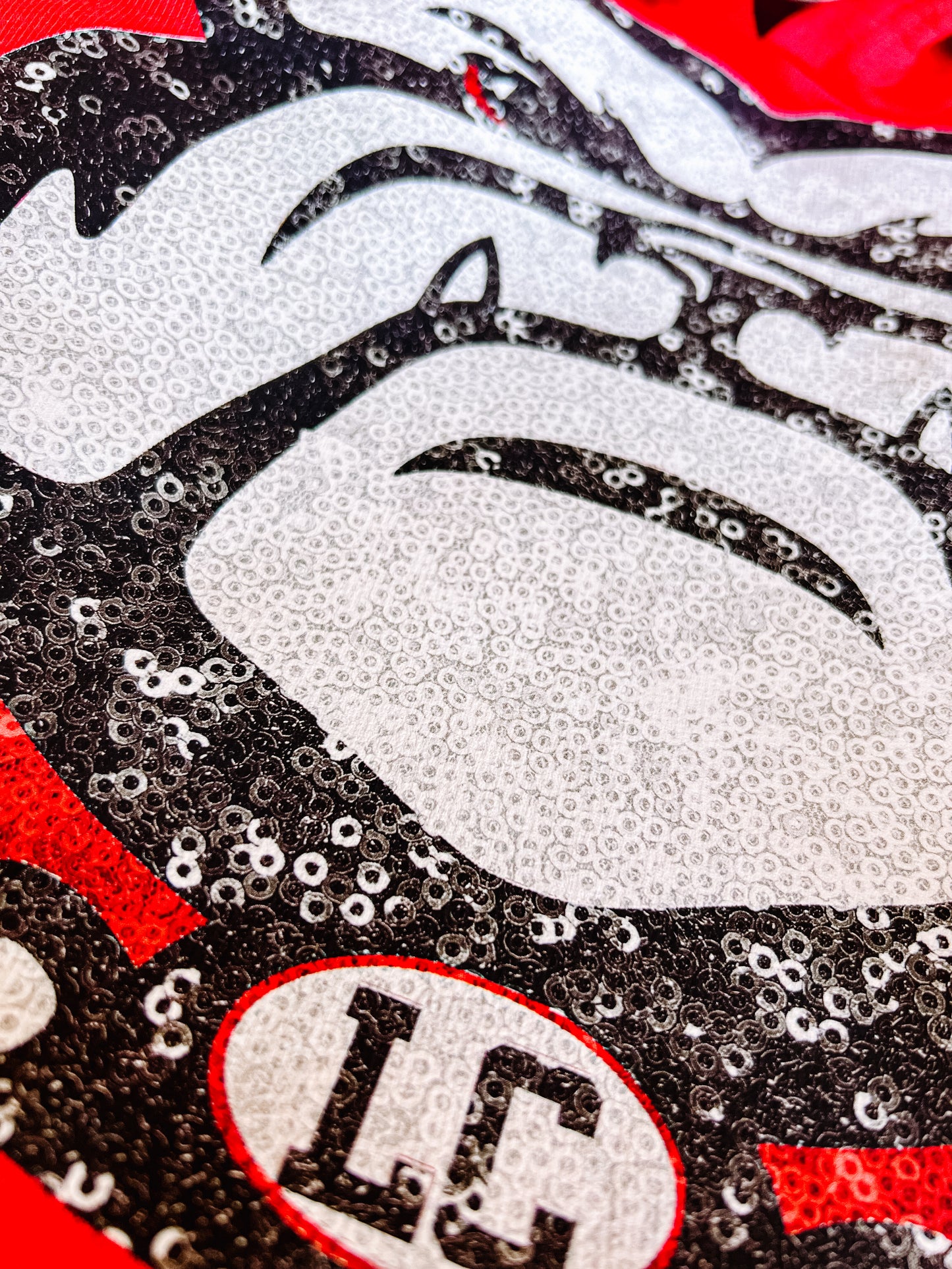 "Bling" effect Bulldogs mascot logo- adult & youth